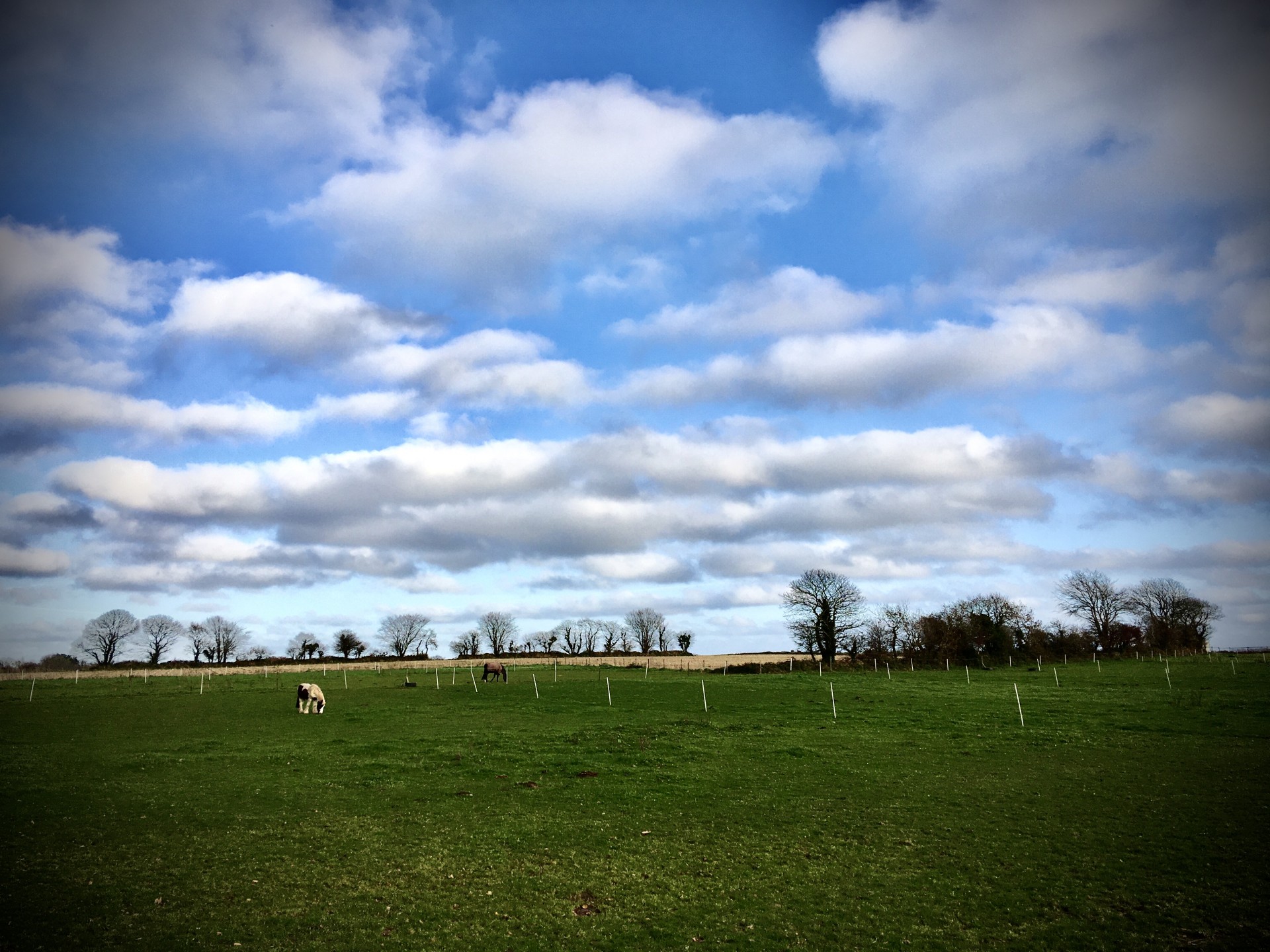 Cumulus