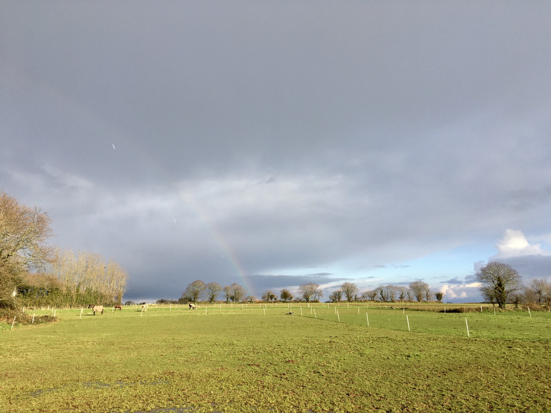 Arc en ciel